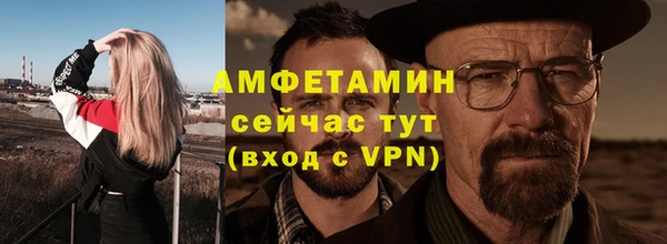 шишки Абаза