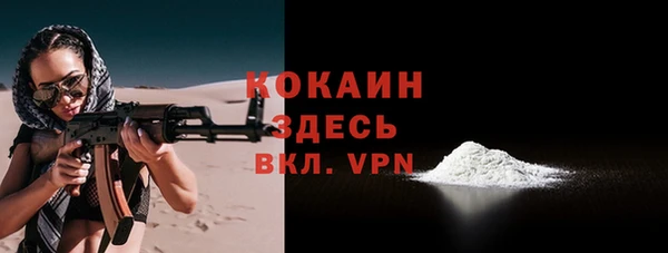 ПСИЛОЦИБИНОВЫЕ ГРИБЫ Строитель