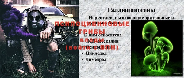 шишки Абаза